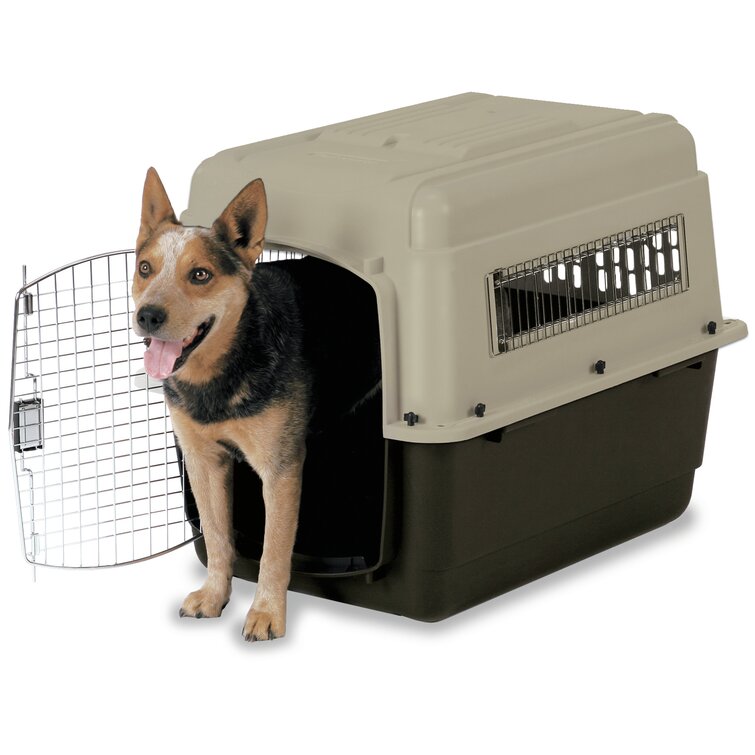 Petmate extra hotsell large dog crate